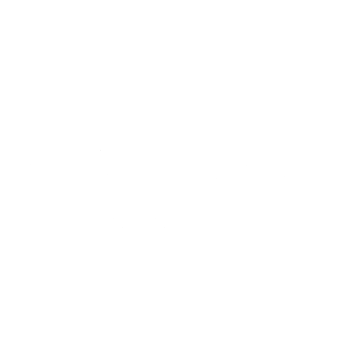 Google Reviews