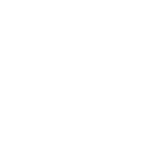 The No BS Group